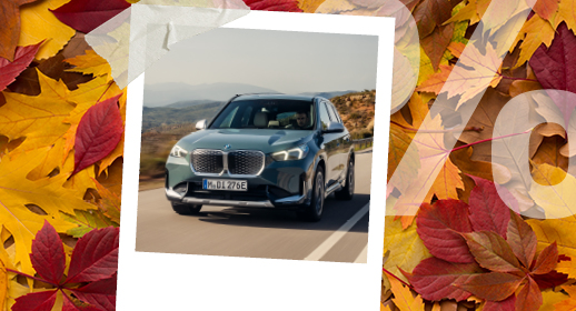 Ein Werbebanner im Herbst-Design auf einem Hintergrund aus buntem Herbstlaub in Gelb- und Rottönen. In der Mitte befindet sich ein mit Klebestreifen befestigtes Sofortbild (Polaroid), das einen silbergrauen BMW auf einer Straße bei sonnigem Wetter zeigt. Auf der rechten Seite liegt ein großes, halbtransparentes weißes Prozentzeichen (%) über den Blättern.